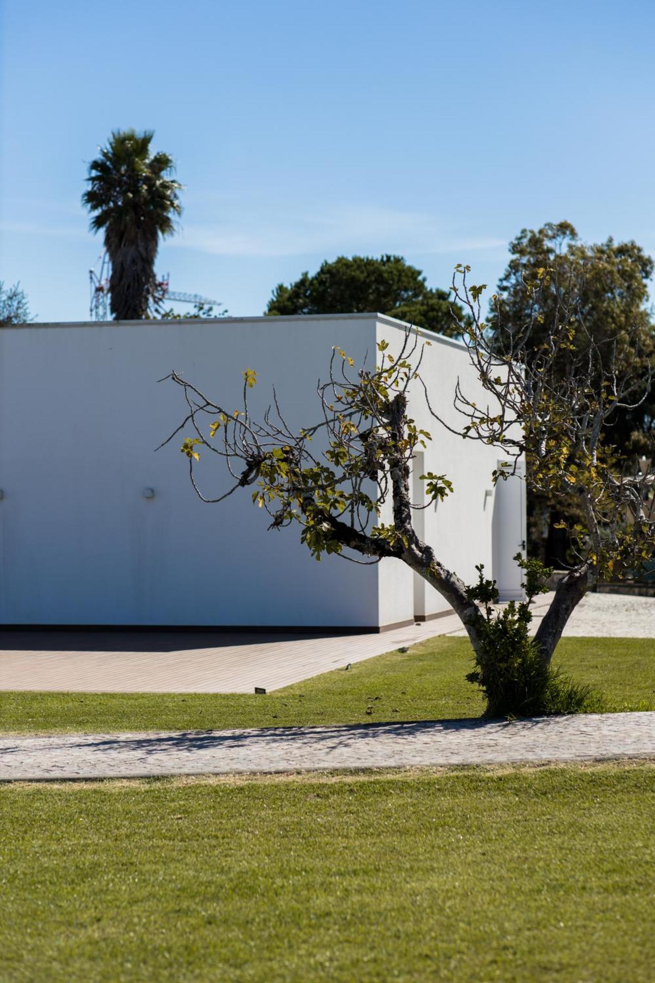 Quinta D'Anta- Hotel Rural Maiorca Buitenkant foto